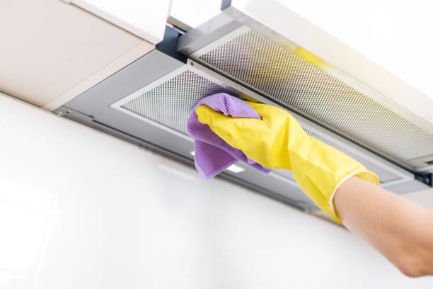 Air Duct Mold Removal in Walhalla, SC